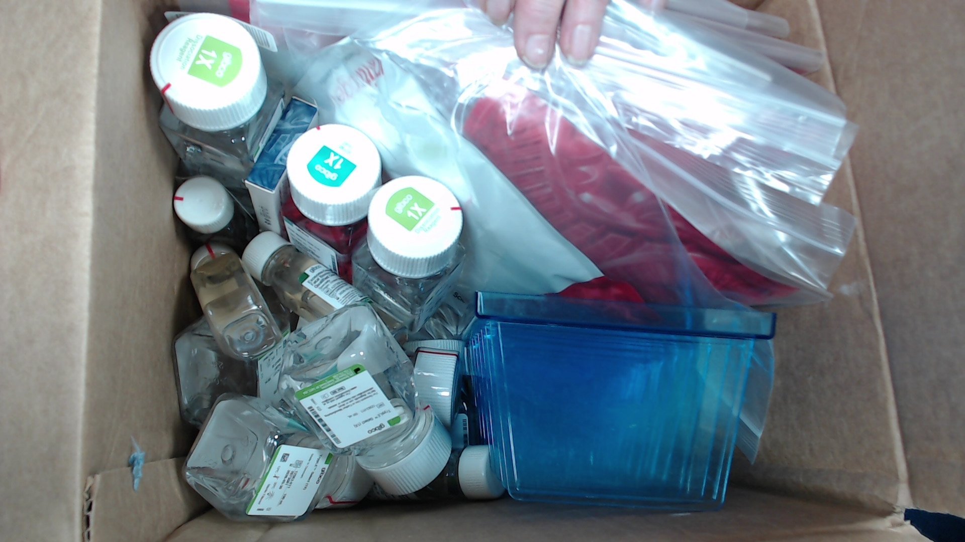 Container contents photo